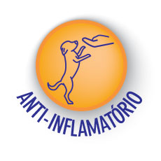 Anti-inflamatório